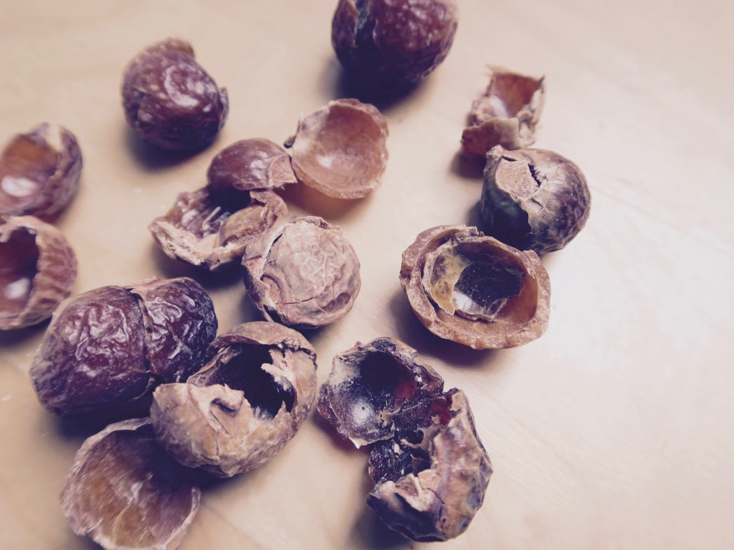 What are soap nuts? | Curiously Conscious