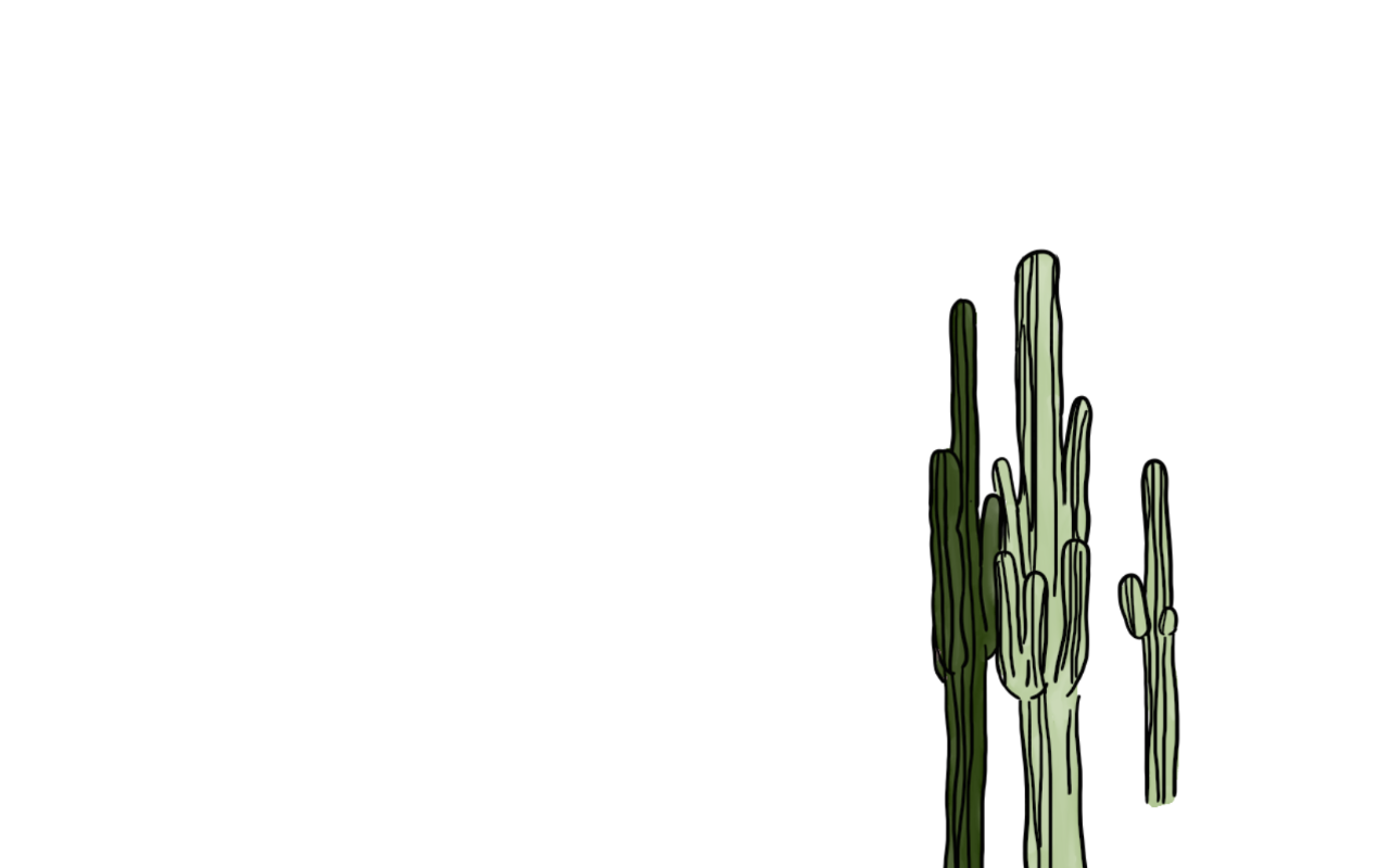 Cacti Drawing