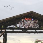 Winter Wonderland | Curiously Conscious