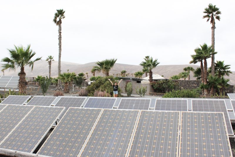 My Eco Holiday in Lanzarote