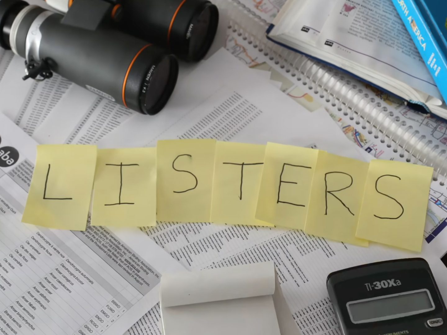 Listers film still from YouTube
