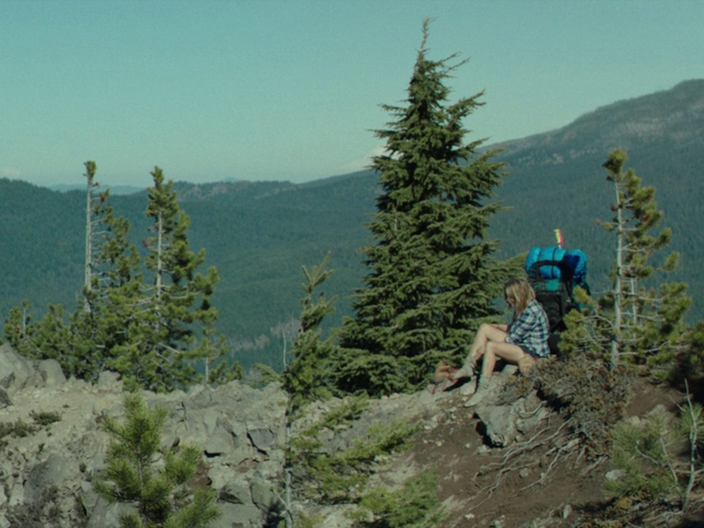 Wild film still from FilmGrab