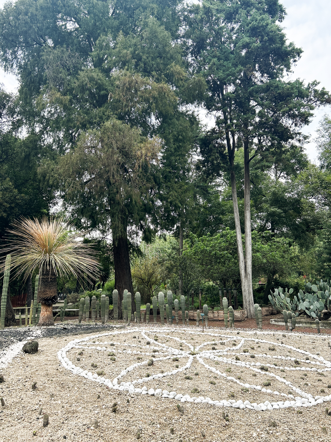 Botanical gardens in Mexico City