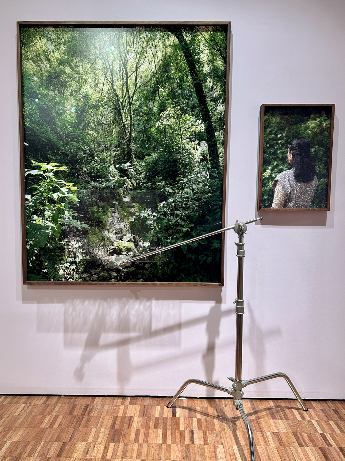 Rainforest art at MAM
